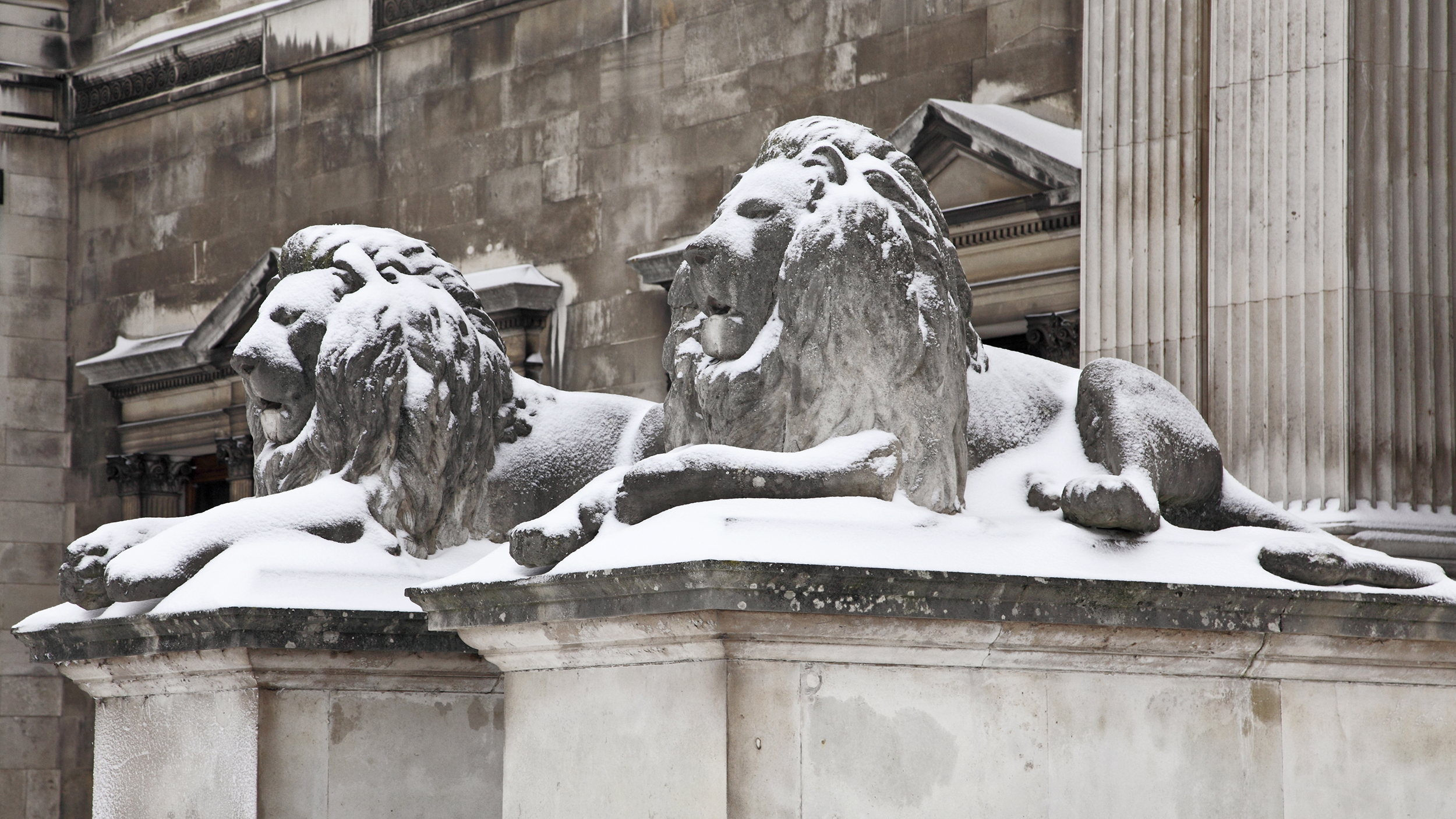 Fitzwilliam Lions Snow